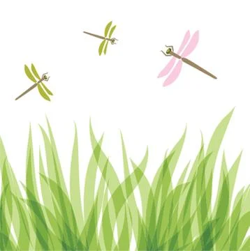 Dragonfly Stock-Illustration