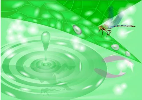 Dragonfly Stock Illustration