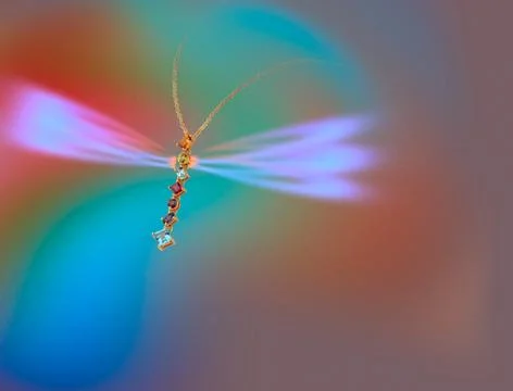 Dragonfly Stock Illustration