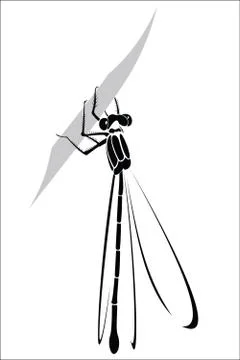 Dragonfly Ilustração Stock