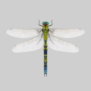 Dragonfly Stock Illustration