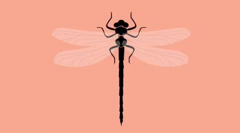 Dragonfly Stock Illustration