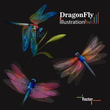 Dragonfly. Stock Illustration