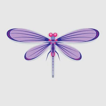 Dragonfly Stock Illustration