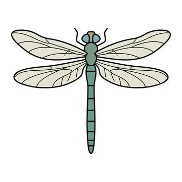 Dragonfly Stock Illustration