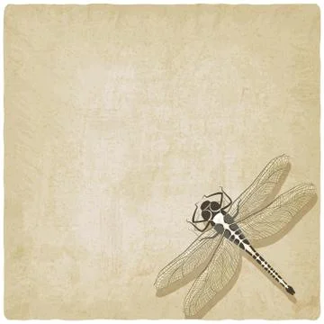 Dragonfly insect old background Illustrazione stock