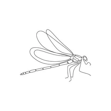 Dragonfly insect in one continuous line drawing. Stock Illustration