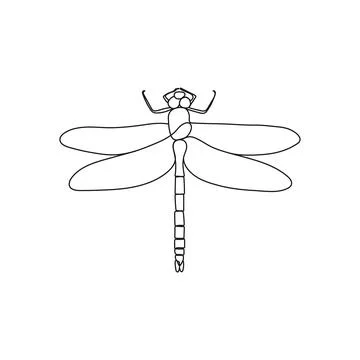 Dragonfly insect in one line drawing style. Stock Illustration