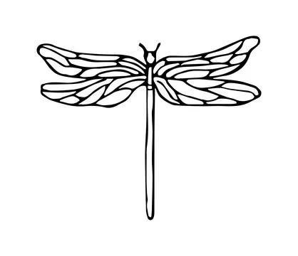 Dragonfly Insect Wings Bug Doodle Outline Illustration Black And White Stock Illustration