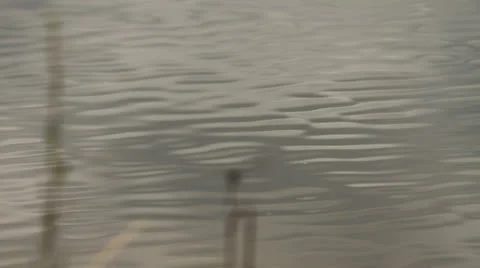 Dragonfly by Lake Stock Footage 26752149