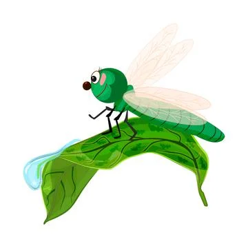 Dragonfly on leaf isolated on white background. Cute cartoon insect. Stock Illustration