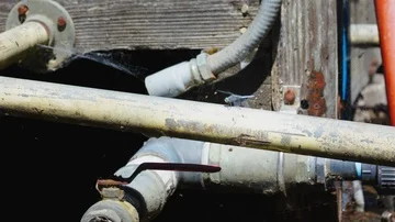 Dragonfly on a Metal Pipe Stockbeeldmateriaal 85821511