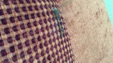 Dragonfly Odonata sits on a red surface and flaps its wings close Macro 2 Stock Footage 104831908