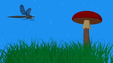 Dragonfly outdoors Stock Footage 998956