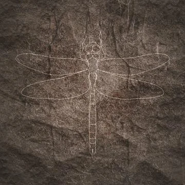 Dragonfly outline icon Stock Illustration