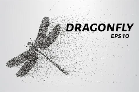 Dragonfly of the particles. Dragonfly consists of circles and points. Vecto.. Stock Illustration