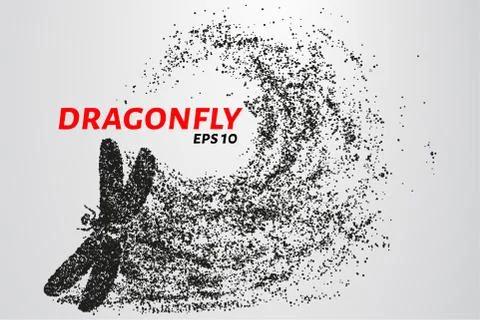 Dragonfly of the particles. Dragonfly consists of circles and points. Vector  Stock Illustration