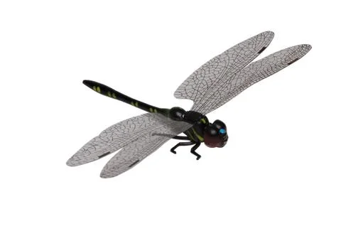 Dragonfly Stock Photos