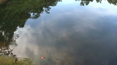 Dragonfly Reflections In A Pond 스톡 동영상 12586384