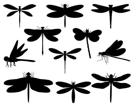 DRAGONFLY SILHOUETTE VECTOR ART Stock Illustration