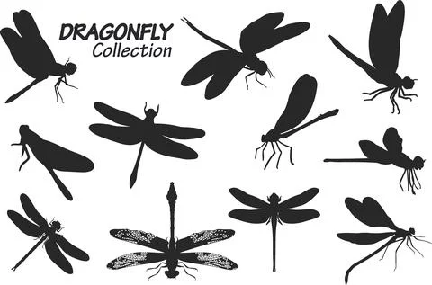 Dragonfly silhouettes 스톡 일러스트