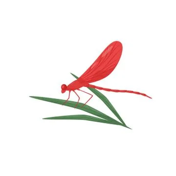 Dragonfly sitting on green leaf. Fast-flying insect with bright red wings and Stock Illustration