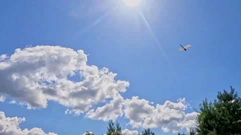 A dragonfly soars under a bright summer sky with white clouds Stock Footage 319736465