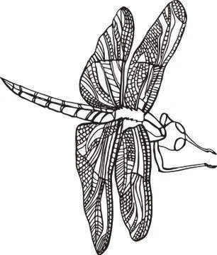 Dragonfly vector black and white Stock Illustration