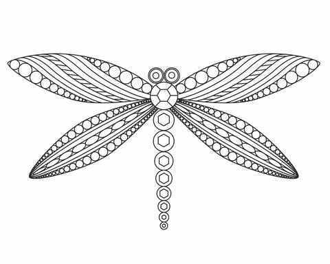 Dragonfly, vector graphic illustration. A beautiful graceful insect. イラスト素材