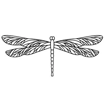 Dragonfly vector icon Stock Illustration