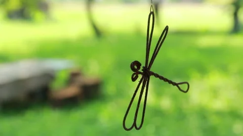 Dragonfly wire Stock-Footage 44024533