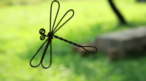 Dragonfly wire 스톡 동영상 44026867