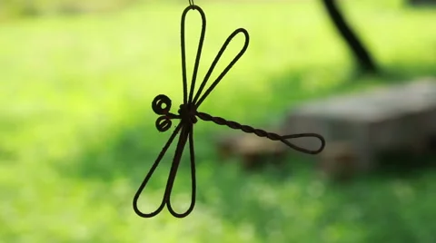 Dragonfly wire Stock-Footage 44037336