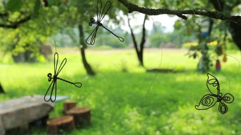 Dragonfly wire,Butterfly Wire Stock Footage 44014991