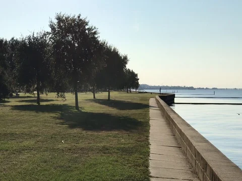 Dragonfly's at the lakefront Stock Footage
