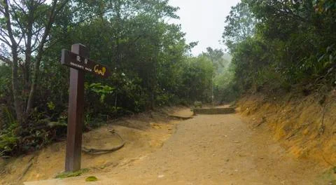 Dragon's back hiking trail through forest on Hong Kong Island on foggy day Stock Photos