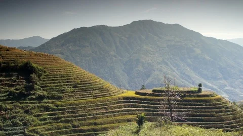Dragon's Backbone Rice Terraces, Guangxi, Kwangsi, China Stock Footage 111851680