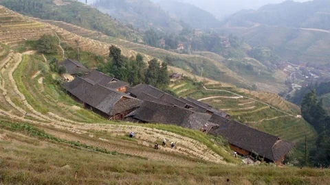 Dragon's Backbone Rice Terraces, Guangxi, Kwangsi, China Stock Footage 111852676