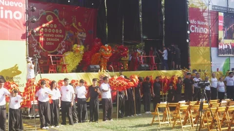 Dragons dance on stage Stock Footage 291553523