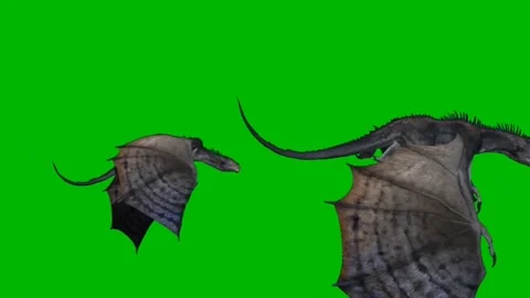 Dragons Flying on Green Screen Video stock 222549488