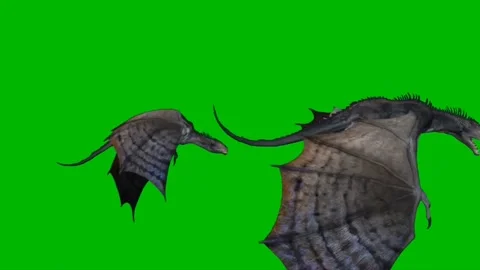 Dragons Flying on Green Screen Stock-Footage 237156149