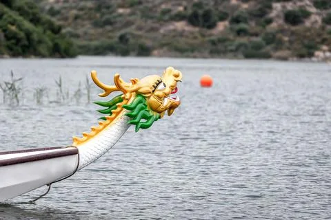 Dragon's head looking at the water Stock Photos