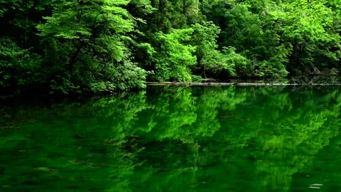 Dragon's Hollow Stock Footage 332245992