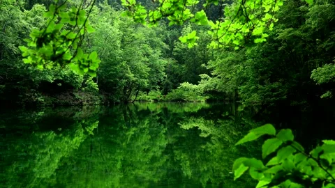 Dragon's Hollow Stock Footage 332245998