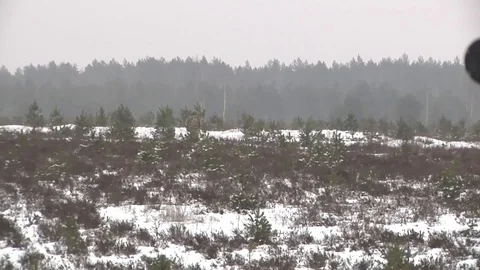 Dragoons of the 2d Cavalry Regiment practiced react to contact - 2015 Video stock 101174512