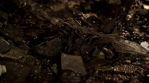 Drags the chain. Stock Footage 62559466