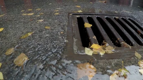 Drain and rain slow 库存影片 81531852