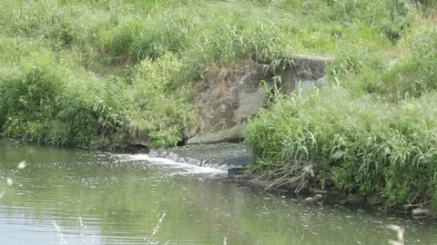 Drain drainage in the river Stock Footage 75061362