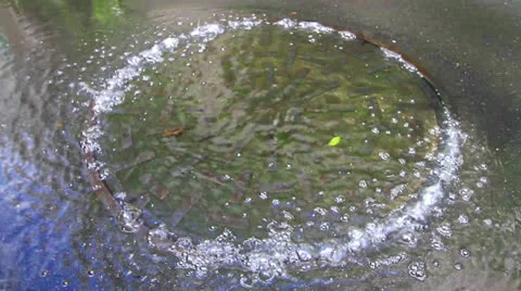 Drain Video stock 23735857