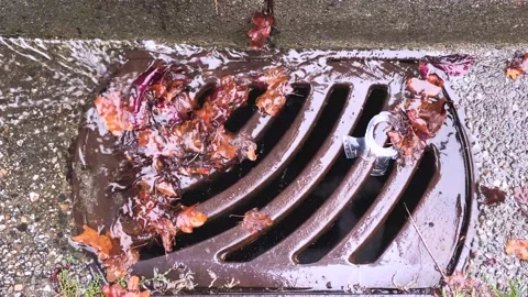 Drain Stock Footage 139792960